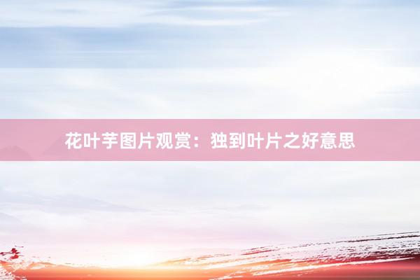 花叶芋图片观赏：独到叶片之好意思